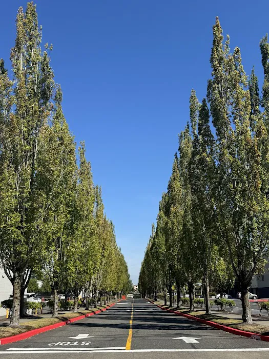 LA Fitness Picture 5