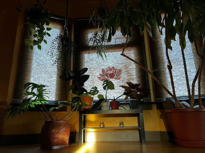 Yoga Refuge Picture 4