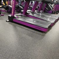 Planet Fitness ico