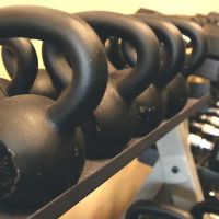 Training Day PDX ico