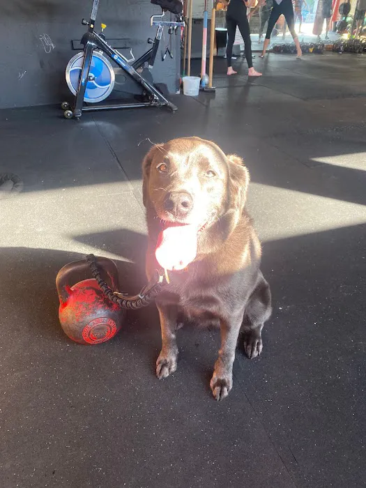 Eastside Kettlebell Collective Picture 1
