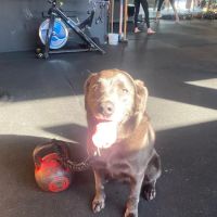 Eastside Kettlebell Collective ico