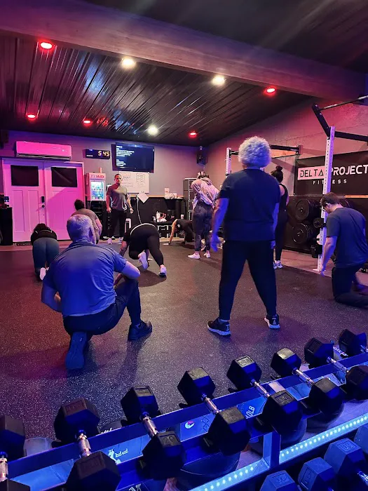 Delta Project Fitness Picture 9
