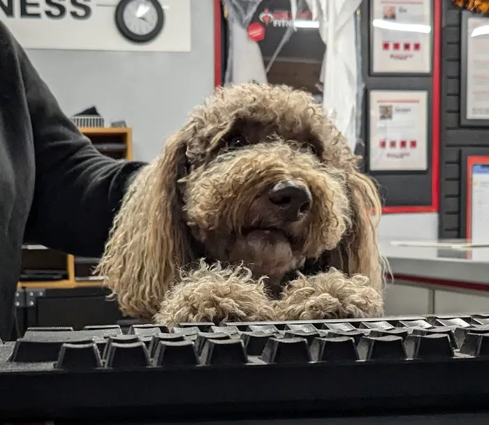 Hollywood Fitness Picture 9