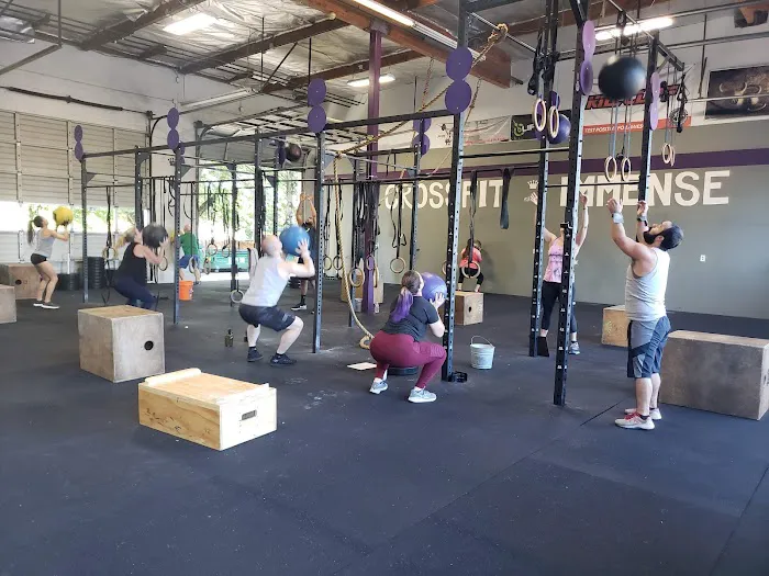 CrossFit Immense Picture 3