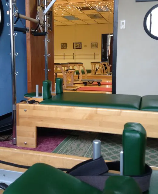 Shelly Stephenson Picture 1