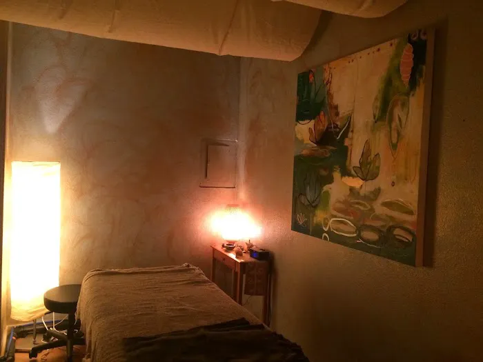 Body Mechanics Pilates & Bodywork Picture 10