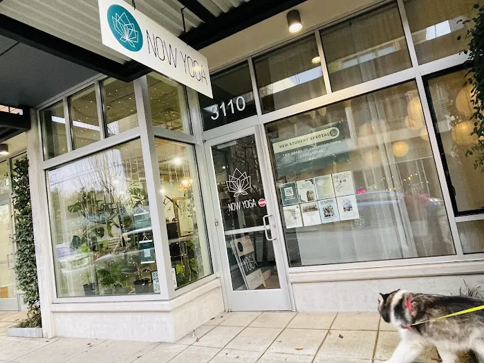 NOW Yoga - SE Division Picture 4