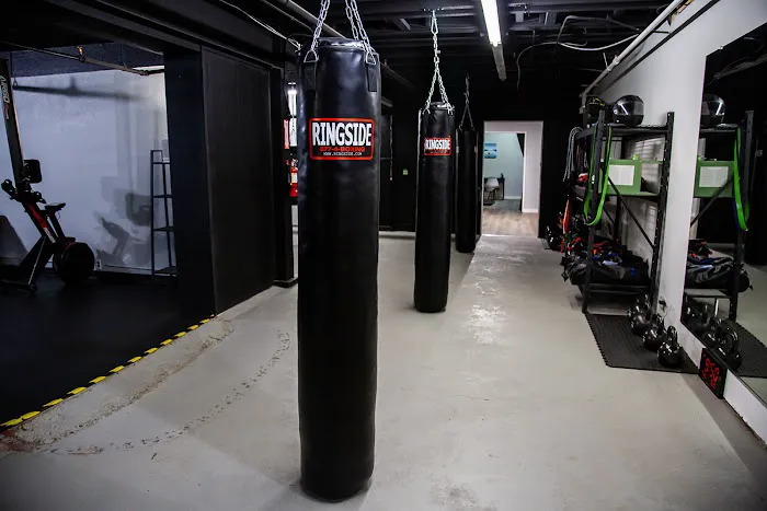 Vive Fitness Picture 3