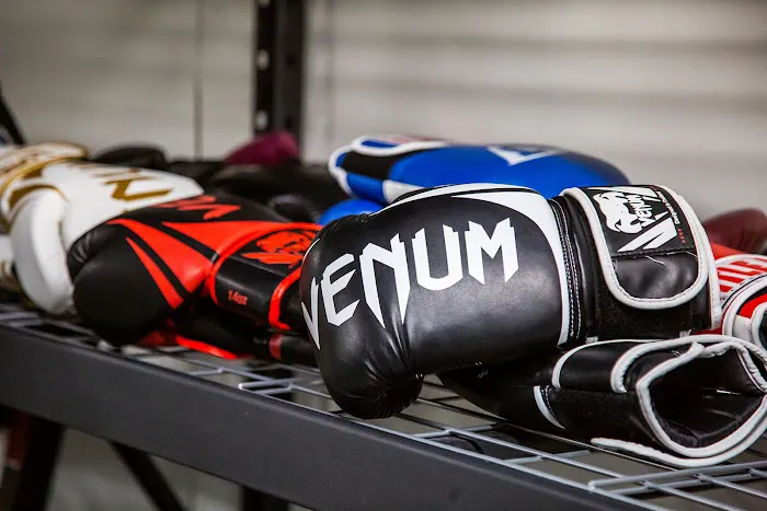 Vive Fitness Picture 5