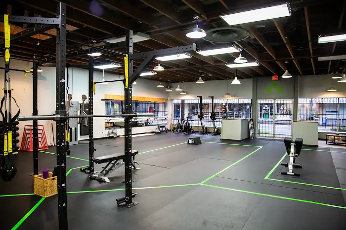 Vive Fitness Picture 8