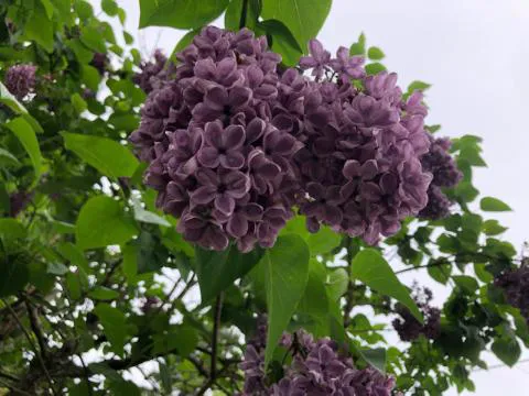 Harmony Yoga Picture 1