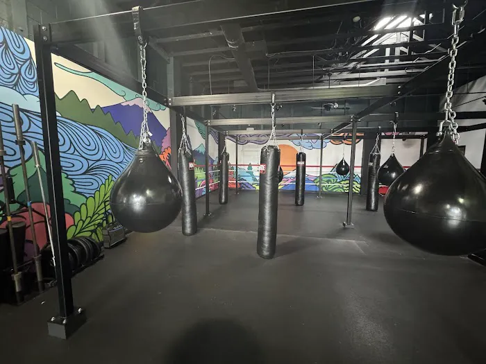 Swing State Boxing Club Picture 3