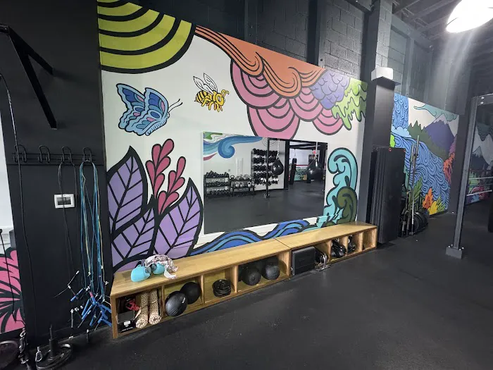 Swing State Boxing Club Picture 2