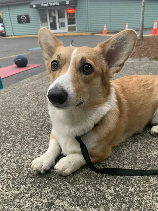 Village Fit Picture 7