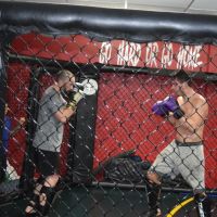 Monster Fit Striking ico