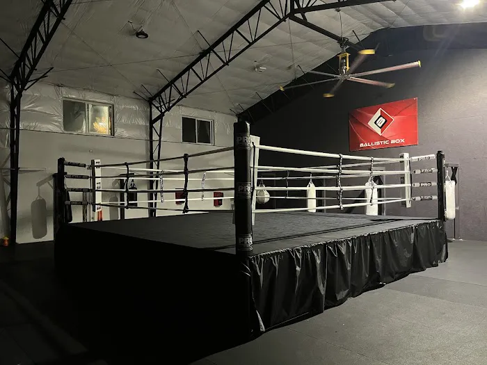 Ballistic Box Picture 4