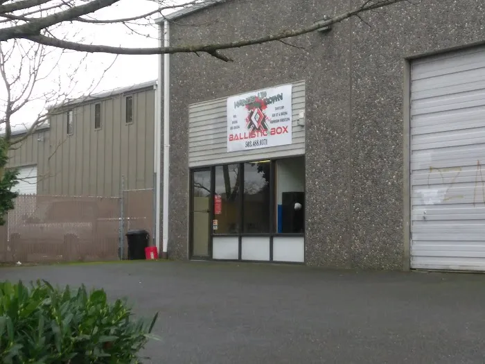 Ballistic Box Picture 9