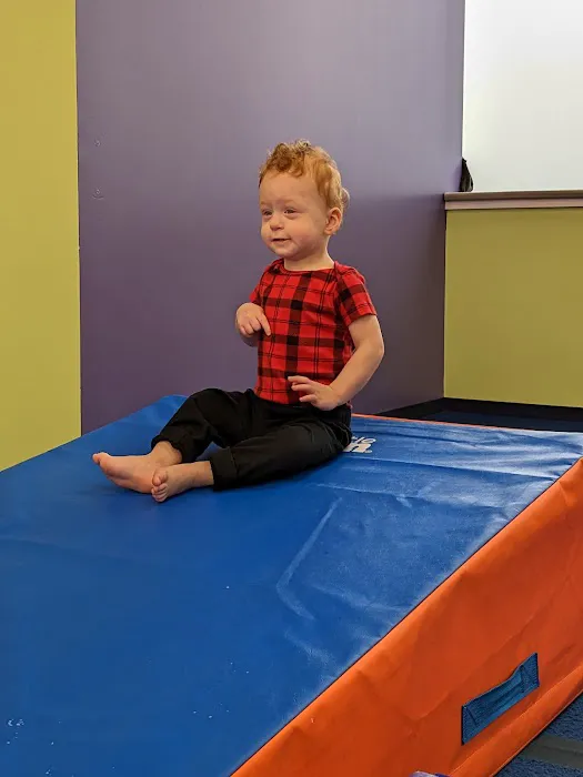 The Little Gym of Vancouver Picture 6