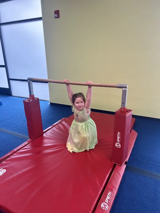 The Little Gym of Vancouver Picture 4