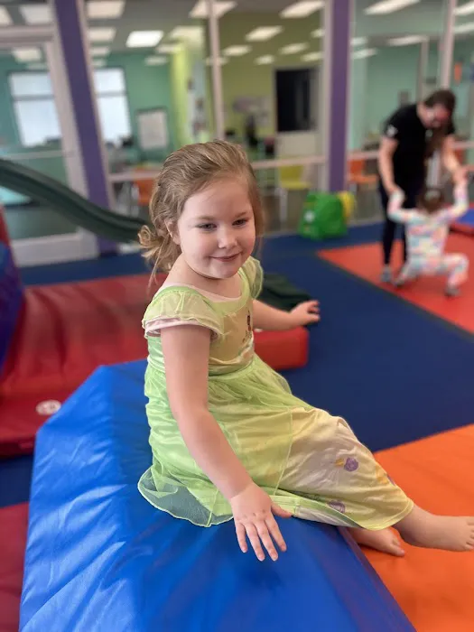 The Little Gym of Vancouver Picture 3