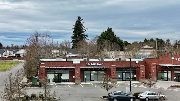 The Little Gym of Vancouver Picture 8