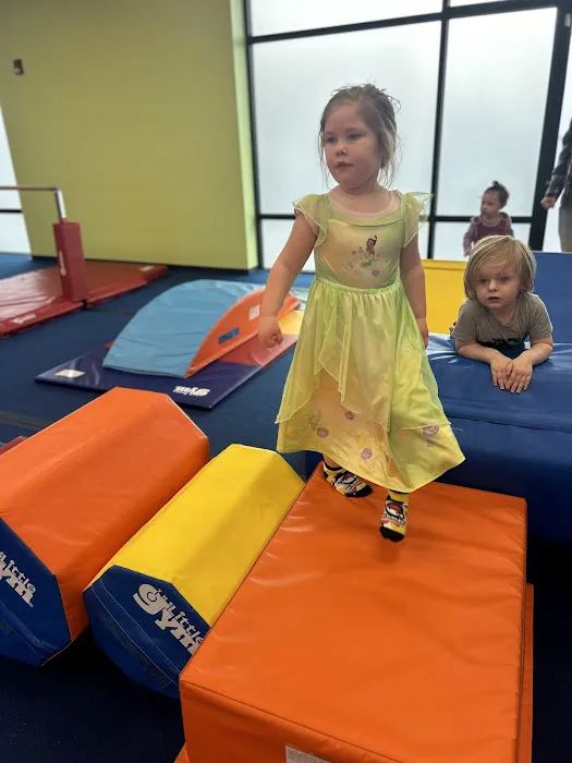 The Little Gym of Vancouver Picture 2