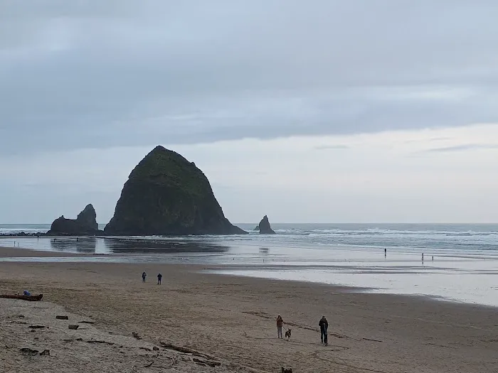 West Coast Strength Picture 2