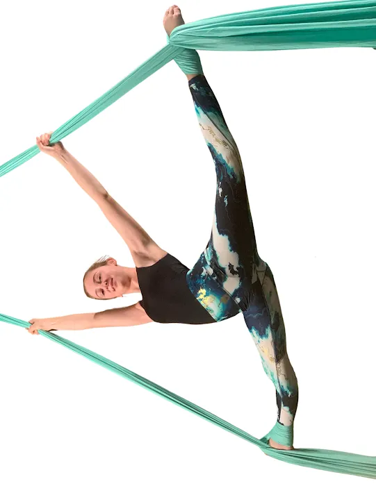 The Hive Athletic Arts Picture 2