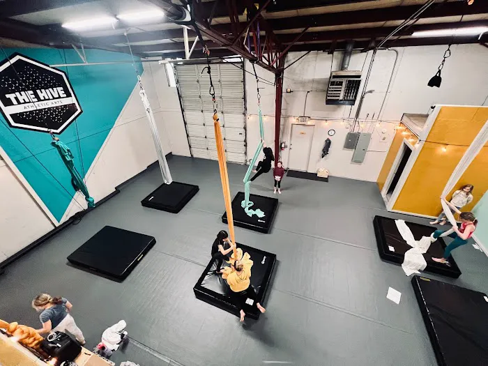 The Hive Athletic Arts Picture 3