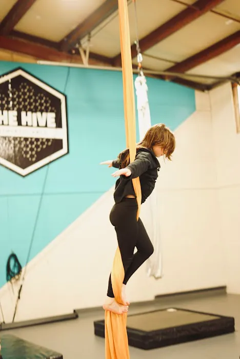 The Hive Athletic Arts Picture 5