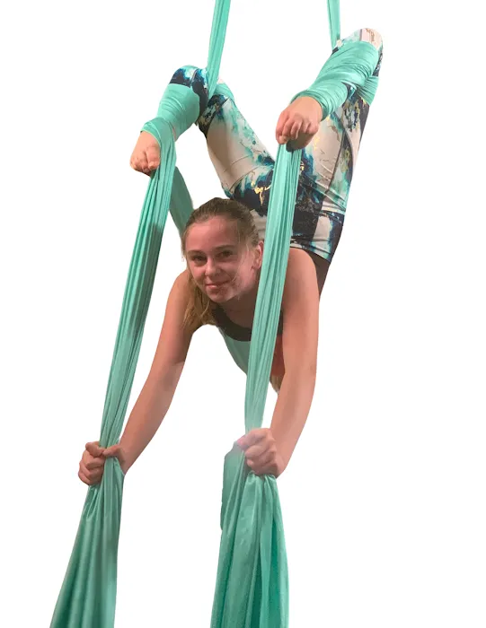 The Hive Athletic Arts Picture 4