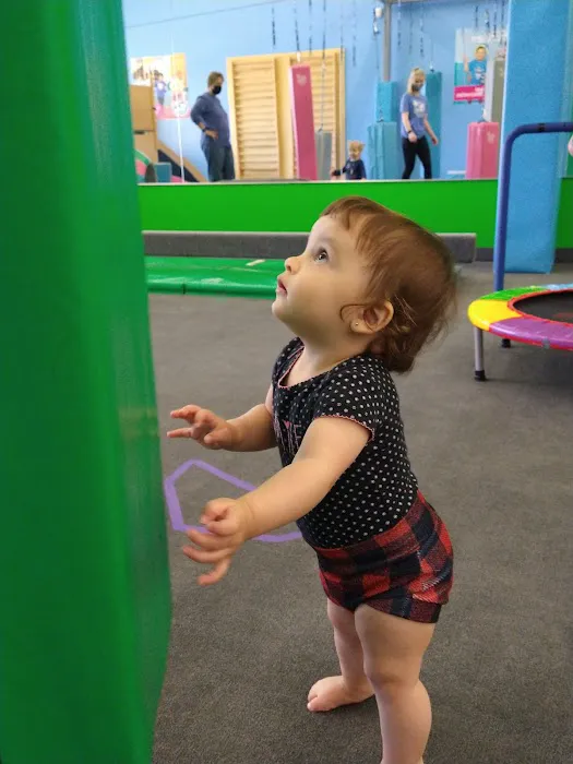 My Gym Happy Valley Picture 5