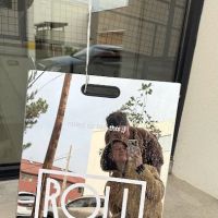 Roll Ups Pilates ico