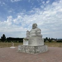 True Move Studio ico