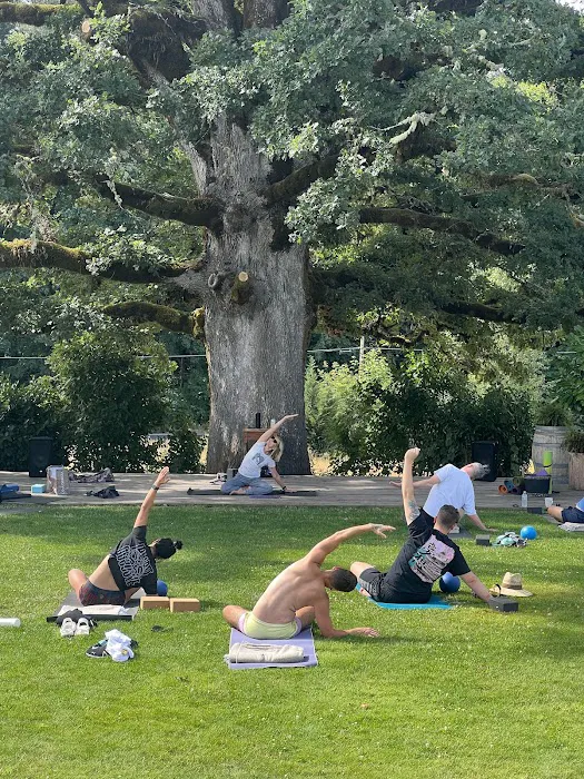 True Move Studio Picture 6