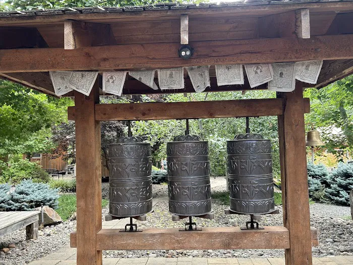 True Move Studio Picture 4