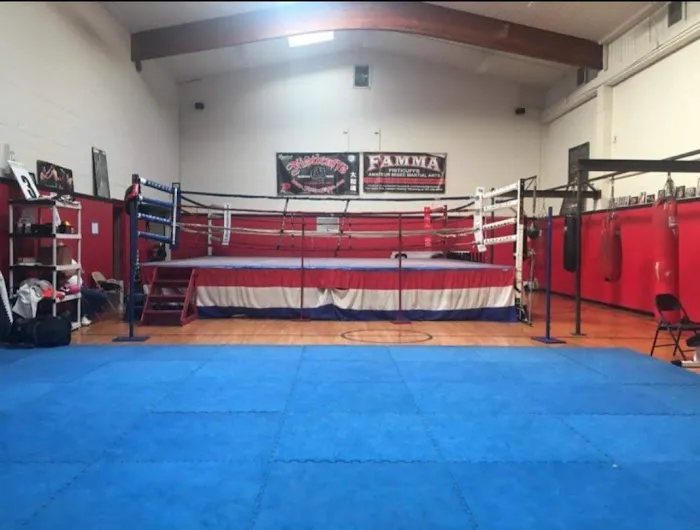 Fisticuffs Gym Picture 3