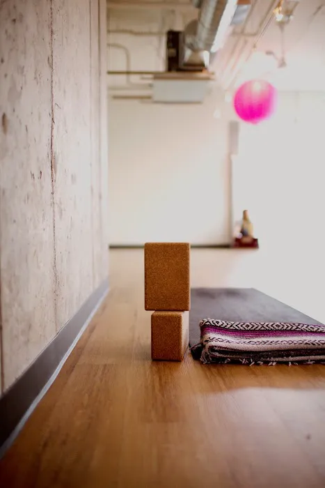 The People's Yoga Picture 3