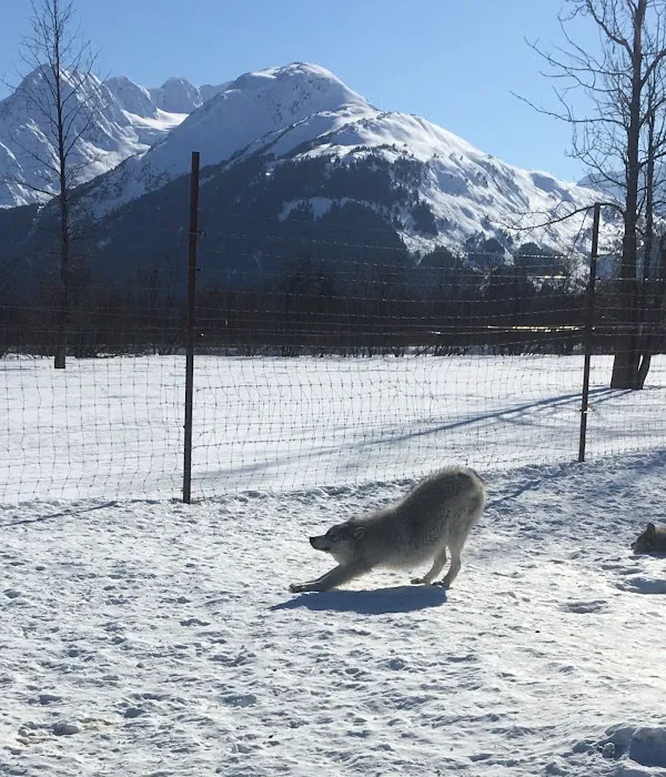 The People's Yoga Picture 6