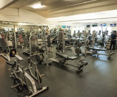 Peak Performance - NE Portland Gym
