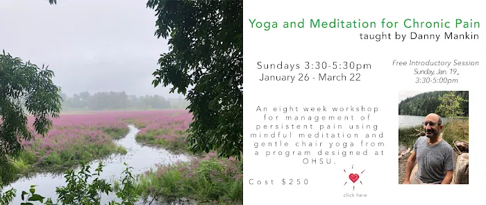 Yoga for the Inflexible Guy Picture 2