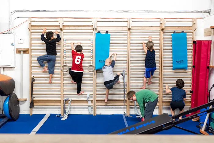 Northwest Gymnastics Training Center (NGTC) Picture 3