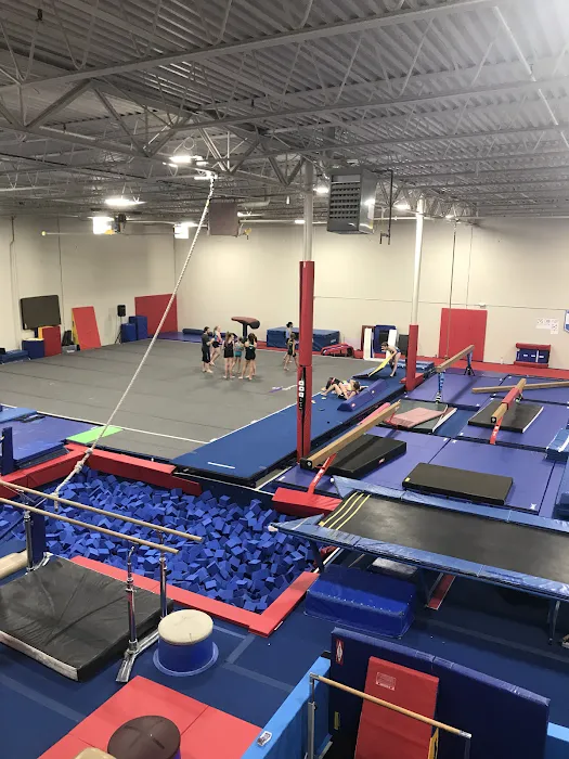 Northwest Gymnastics Training Center (NGTC) Picture 10