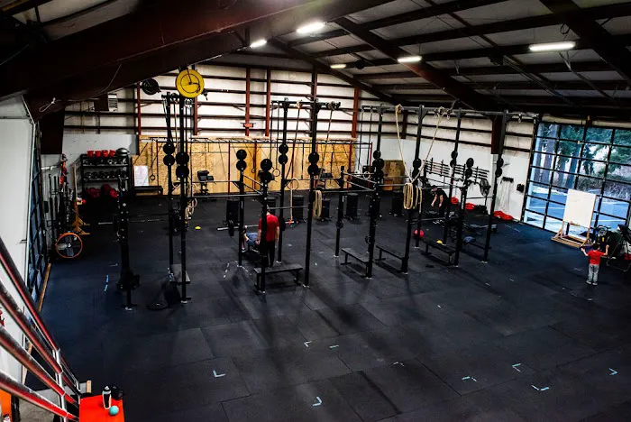 Forge Strength and Fitness Picture 2