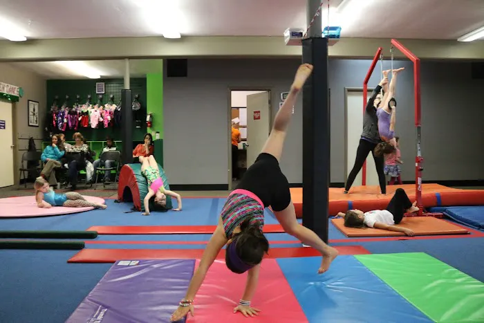 The Children's Gym Picture 1