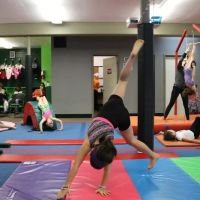 The Children's Gym ico