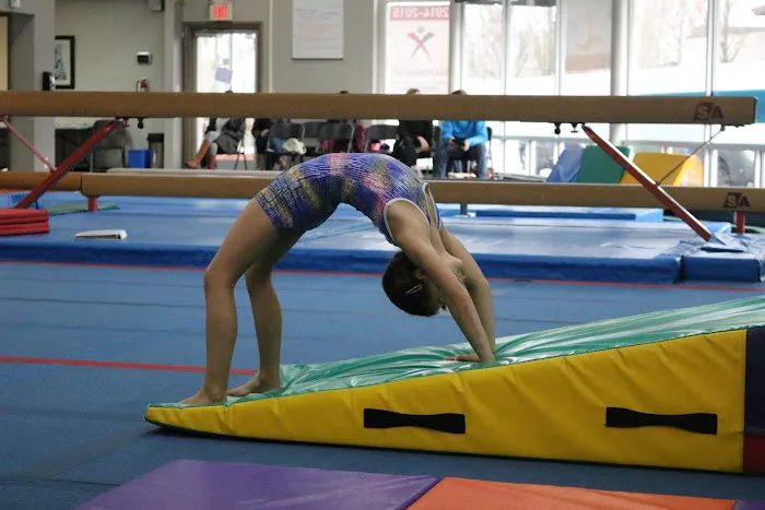 The Children's Gym Picture 9