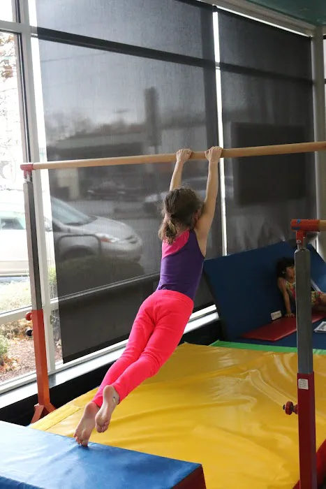 The Children's Gym Picture 4