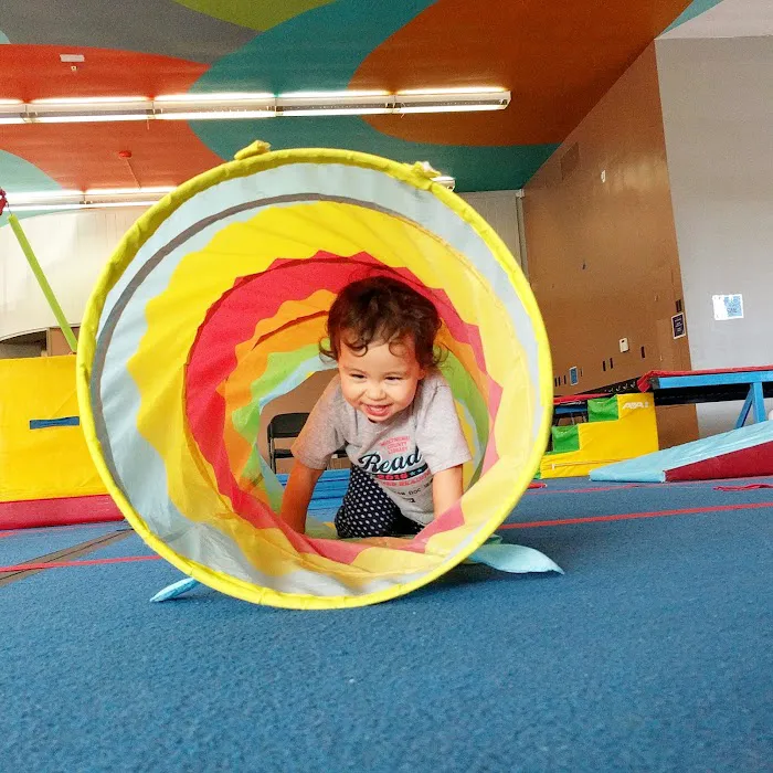 The Children's Gym Picture 5